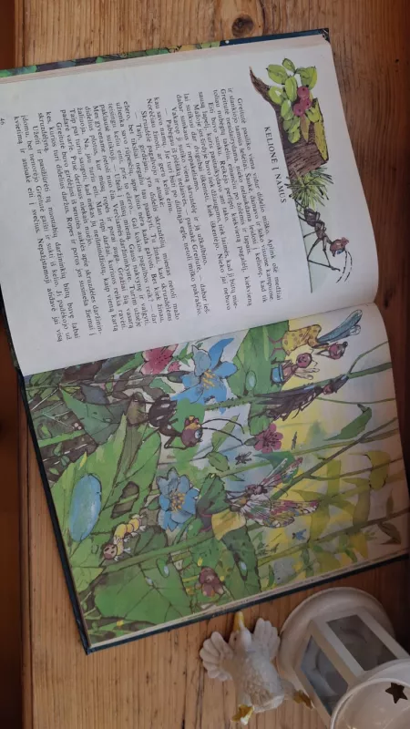 Skruzdėlytės Greitutės nuotykiai - Vytautas Tamulaitis, knyga 3