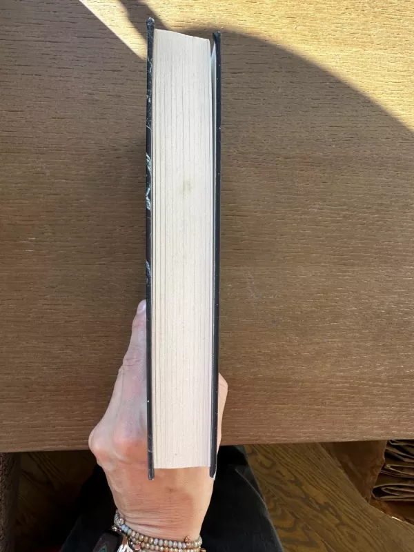 Galinis kambarys - Jørn Lier Horst, knyga 3