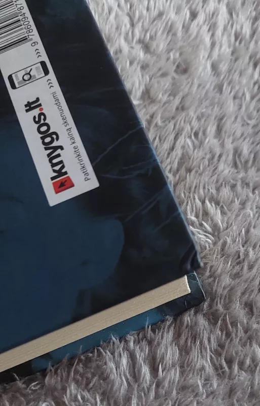 Dvi seserys - Jennifer Weiner, knyga 5