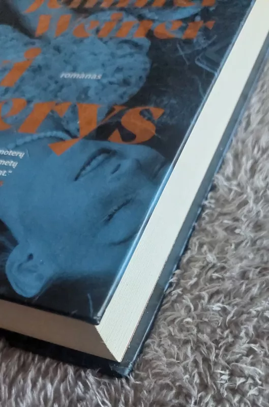 Dvi seserys - Jennifer Weiner, knyga 4