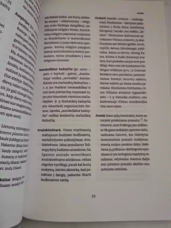 Religijotyros žodynas - Gintaras Beresnevičius, knyga 4