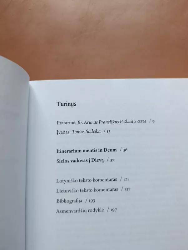 Šv.Bonaventūra Sielos vadovas į Dievą - Autorių Kolektyvas, knyga 5