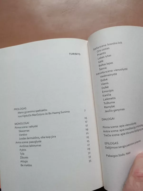 Nabi, arba Gyvenimo teatras - Kęstutis Marčiulynas Bo Haeng Sunim, knyga 5