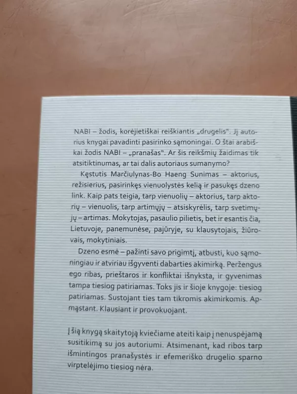 Nabi, arba Gyvenimo teatras - Kęstutis Marčiulynas Bo Haeng Sunim, knyga 4