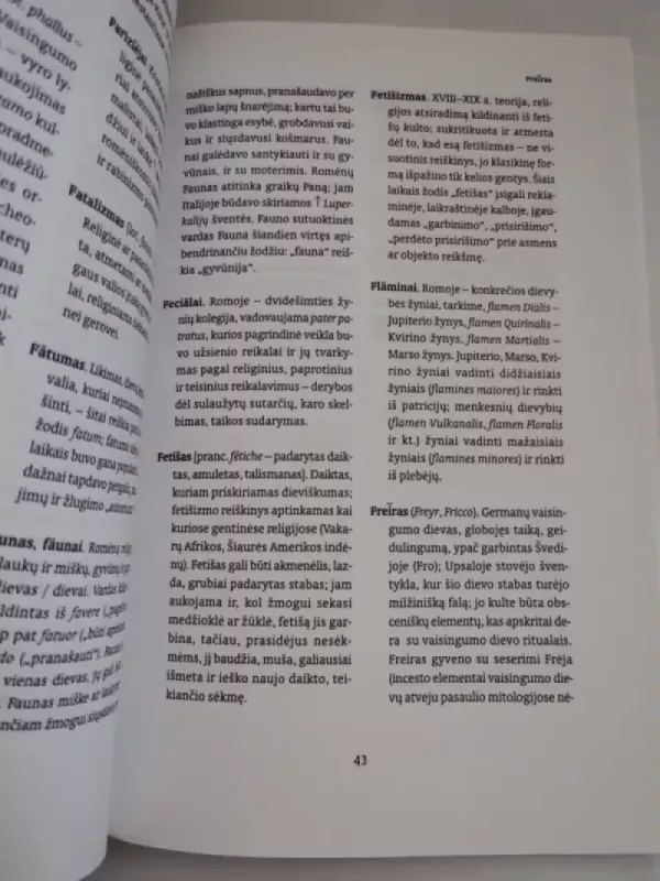 Religijotyros žodynas - Gintaras Beresnevičius, knyga 5