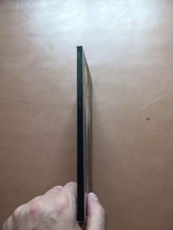 Gydytojos užrašai - Jelena Tulčina, knyga 3