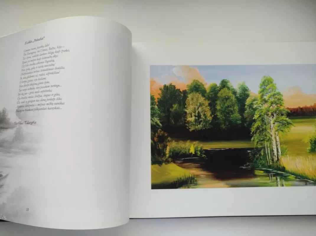 Vėrinys tėviškei - Regina Stakėnienė, knyga 3