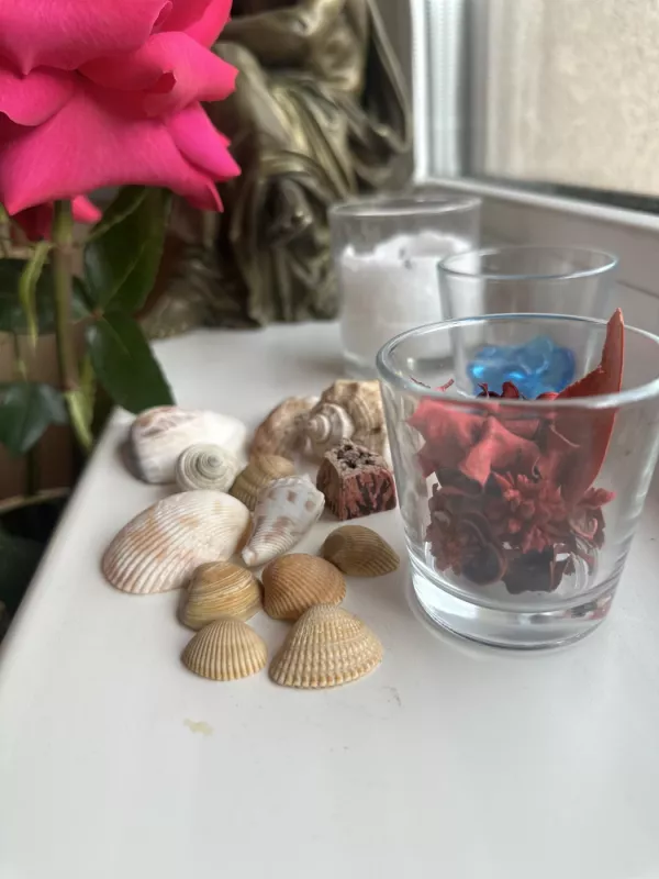 Dekoratyvinių jūros kriauklių rinkinys - , namai ir interjeras 4