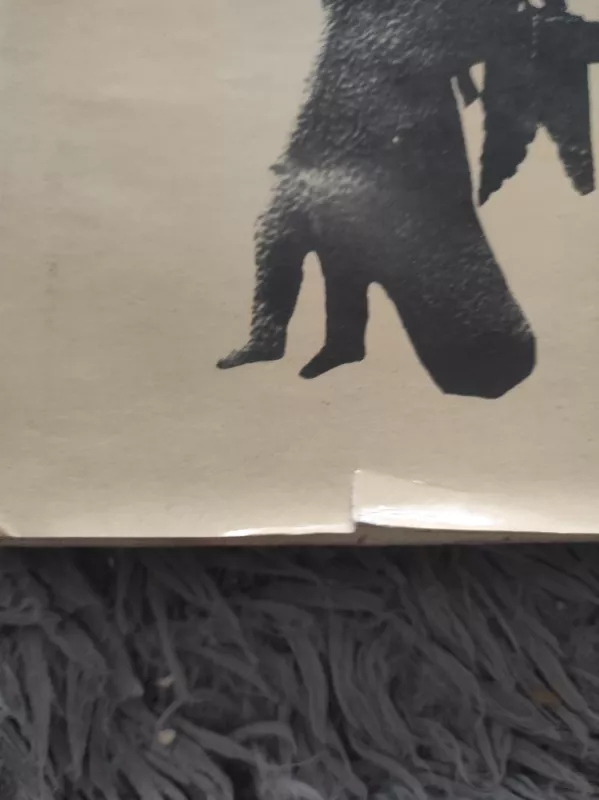 Lietuvių liaudies menas. Mažoji architektūra. III knyga - Autorių Kolektyvas, knyga 4