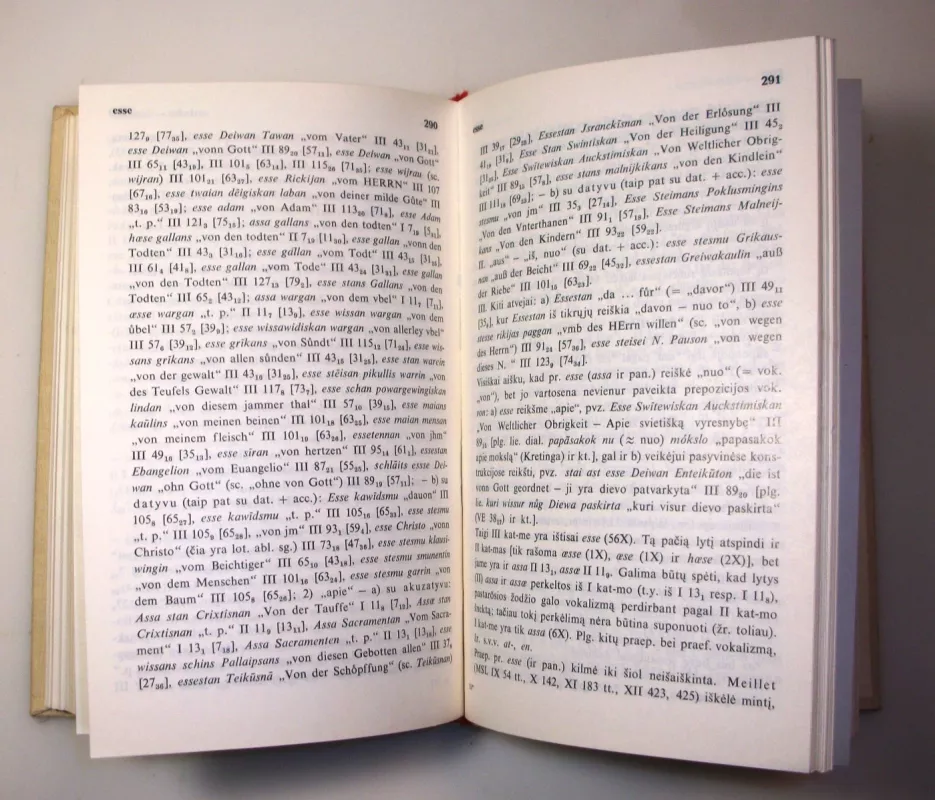 Prūsų kalbos etimologijos žodynas (1 dalis) - Vytautas Mažiulis, knyga 6