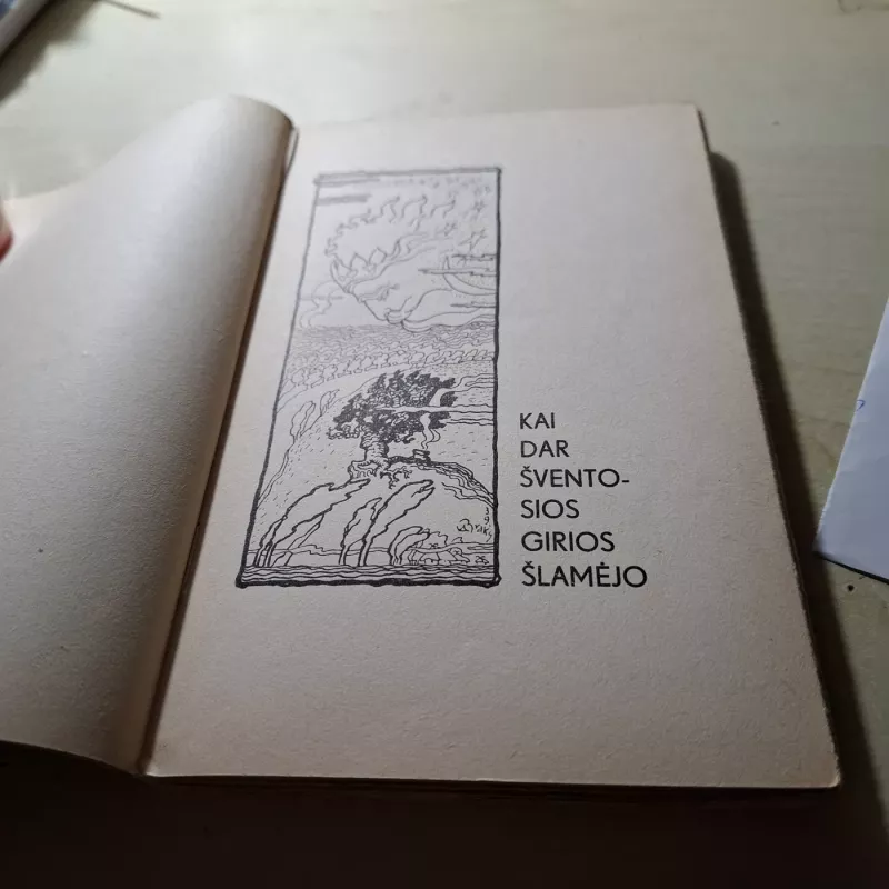 Kai dar amžina ugnis ruseno - Dr. Jonas Remeika, knyga 4