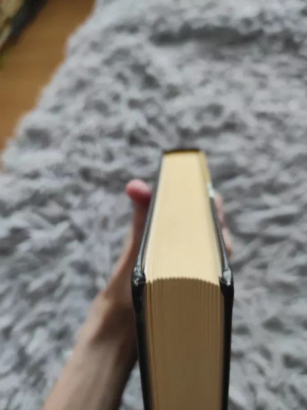 Tamsta mokytojas - Frank McCourt, knyga 3