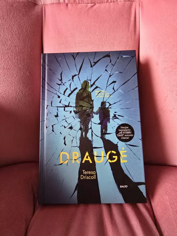 Draugė - Teresa Driscoll, knyga 2