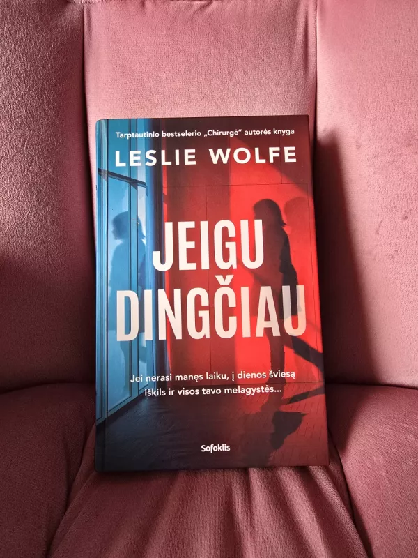 Jeigu dingčiau - Leslie Wolfe, knyga 2