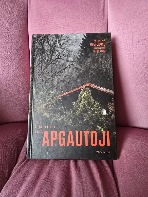 Apgautoji - Charlotte Link, knyga 2