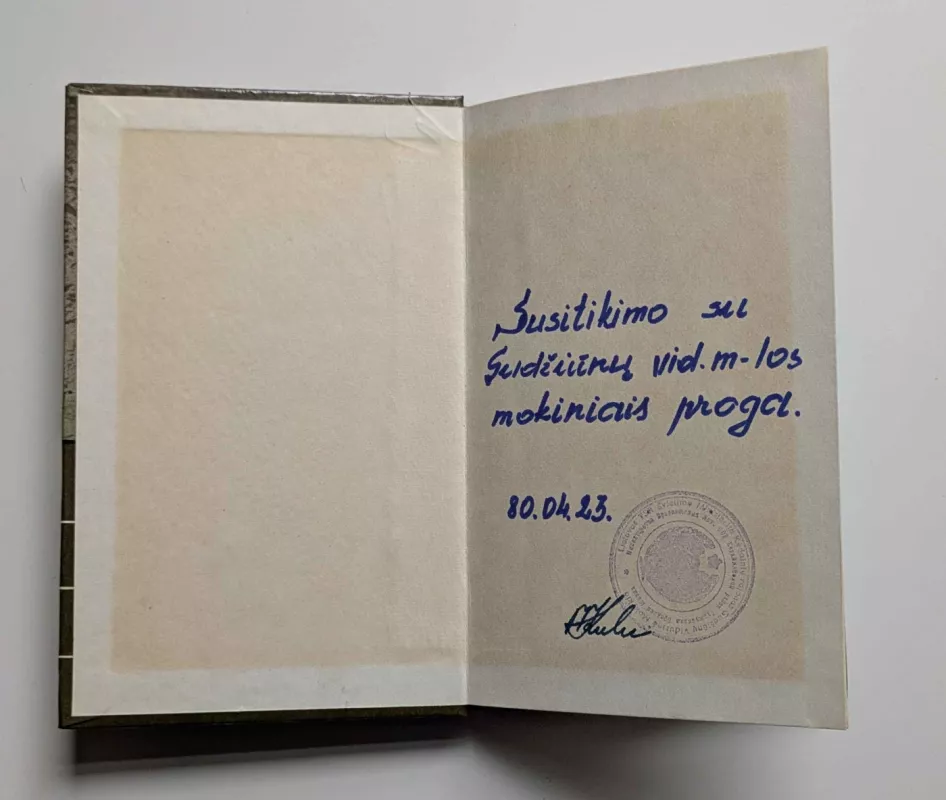 Stiprybės žemė - Emilija Liegutė, knyga 3