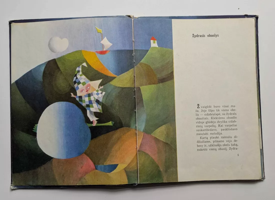 Pelėdžiuko sapnas - Janina Degutytė, knyga 4