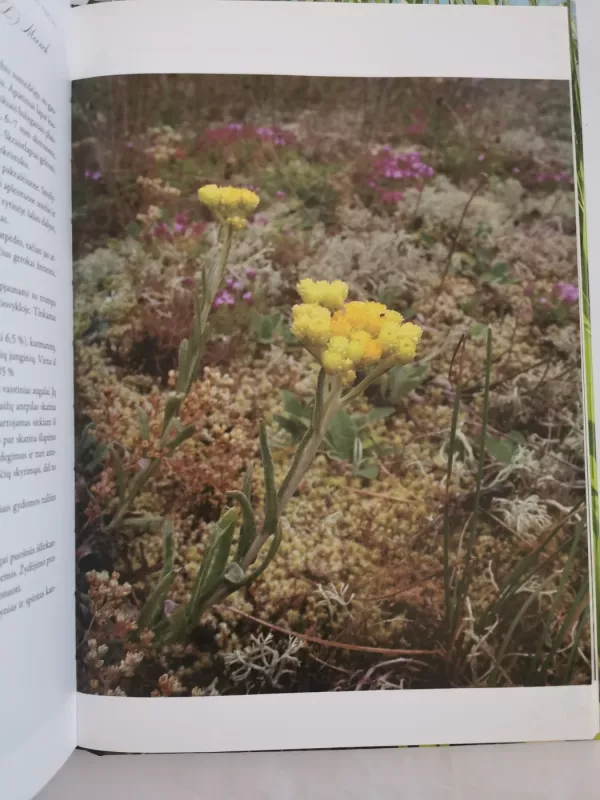 Žalioji sveikatos versmė - Zigmantas Gudžinskas, knyga 6