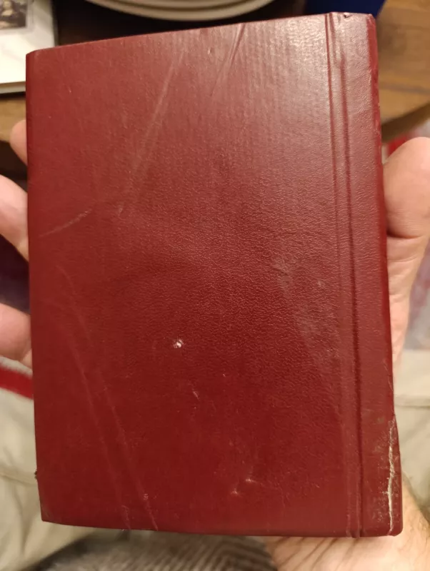 Motyna auklėtoja - Marija Pečkauskaitė-Šatrijos Ragana, knyga 4