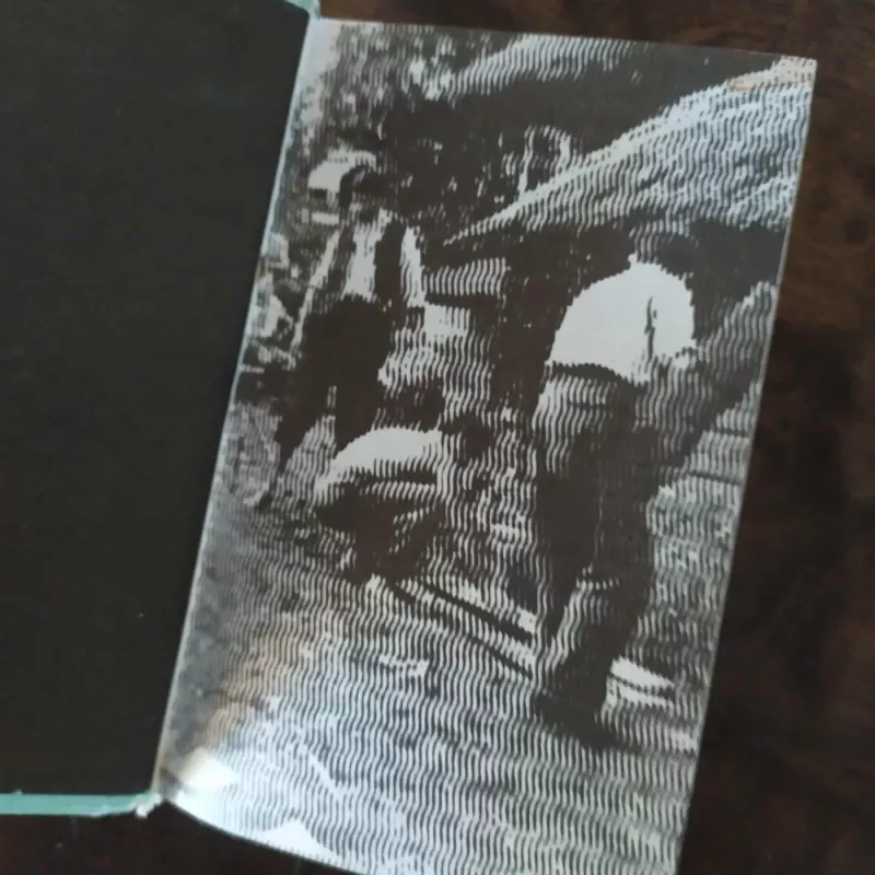 Medyje angelas verkia - Laimonas Tapinas, knyga 3