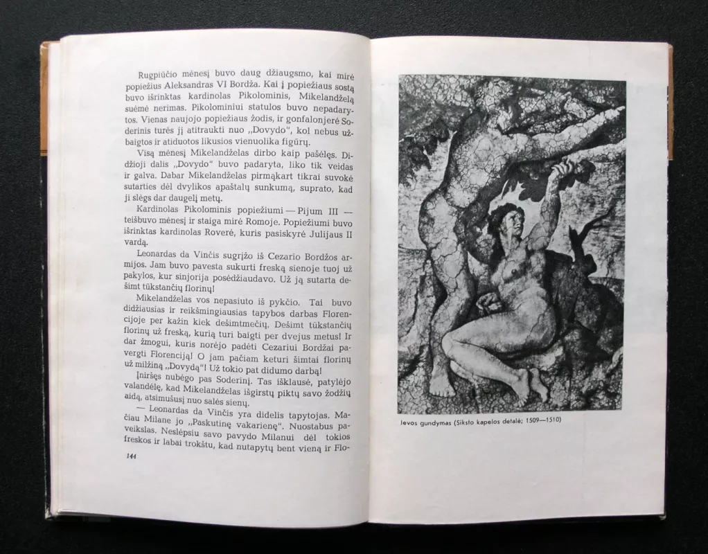 Didysis Mikelandželas - Irvingas Stounas, knyga 3