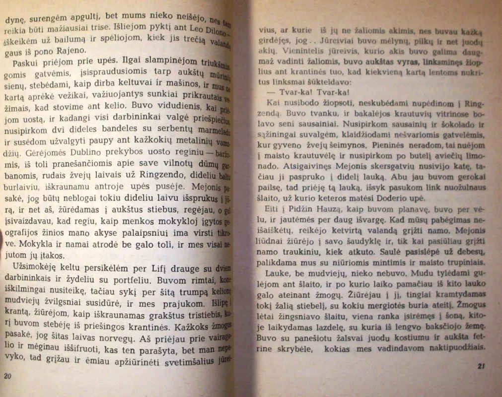 Dubliniečiai - Džeimsas Džoisas, knyga 6