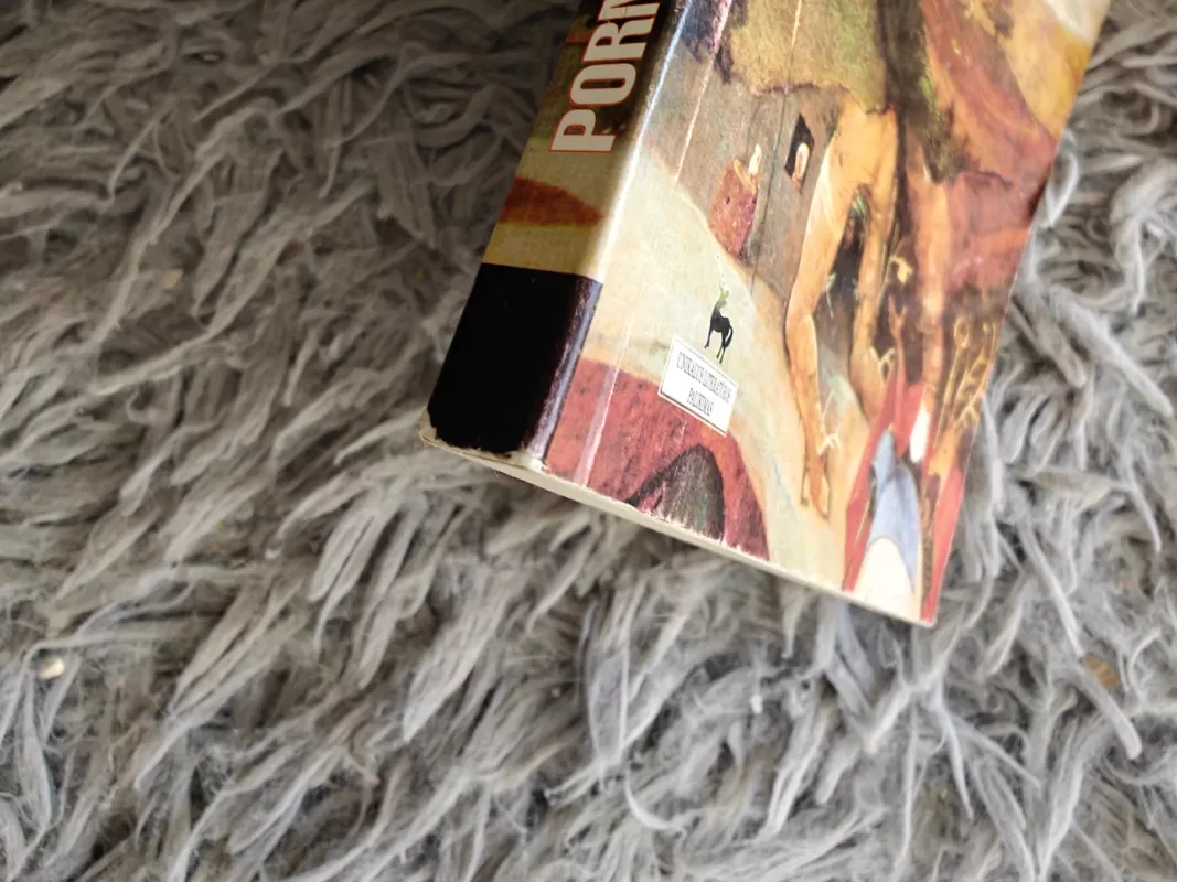 Pornografija: romanas - Witold Gombrowicz, knyga 4