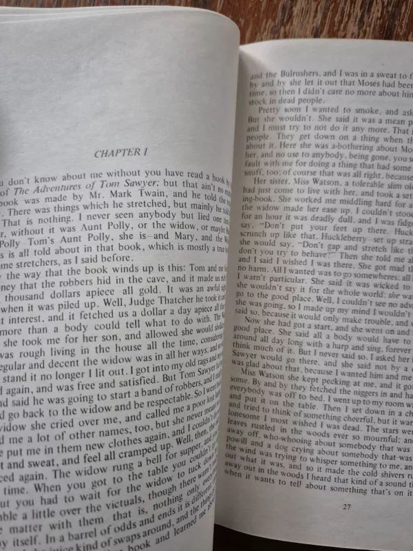 The Adventures of Huckleberry Finn - Mark Twain, knyga 5