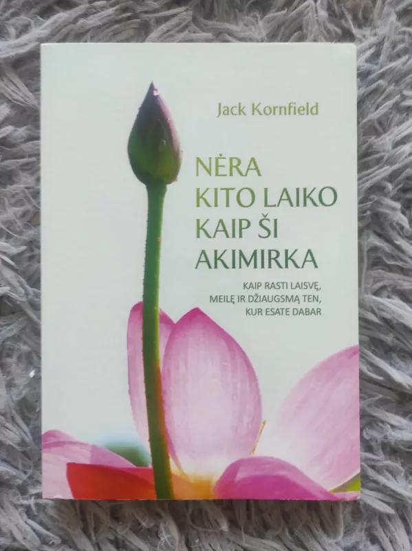 Nera kito laiko kaip ši akimirka - Jack Kornfield, knyga 2