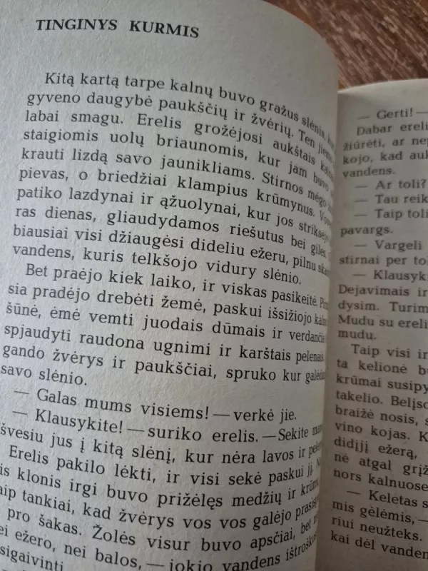 Burtų paukštis - Sonė Tomarienė, knyga 4