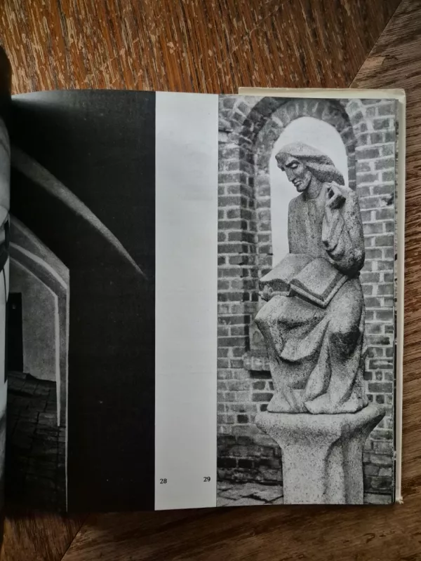 albumas Vilnius - Birutė Orentaitė, knyga 5