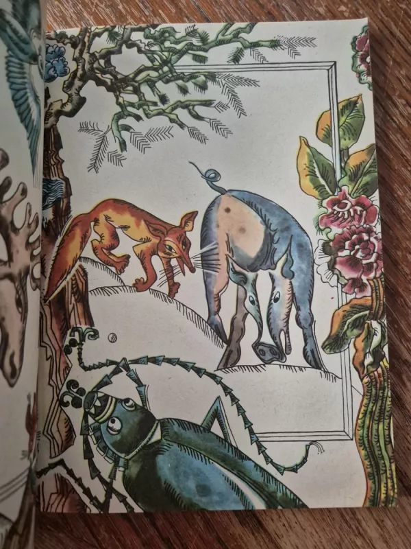 Burtų paukštis - Sonė Tomarienė, knyga 5