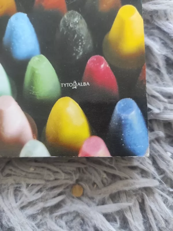 Vienu žvilgsniu. Praktinis vaiko specialiųjų poreikių tenkinimo vadovas. - Autorių Kolektyvas, knyga 3