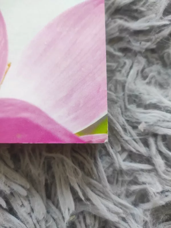 Nera kito laiko kaip ši akimirka - Jack Kornfield, knyga 3