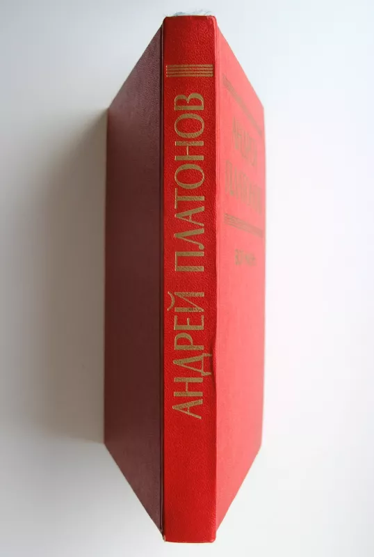 Visas gyvenimas (knyga rusų kalba) - Andrej Platonov, knyga 5