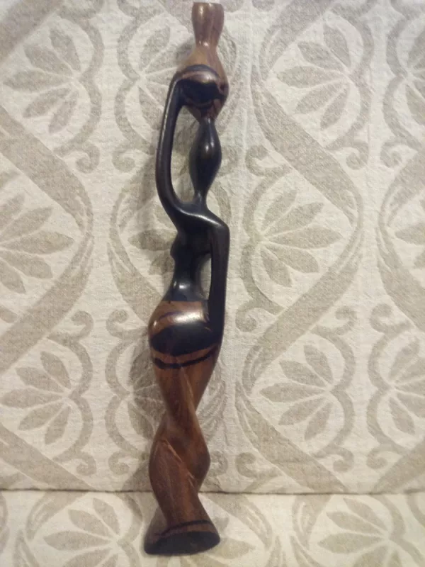 Vandens nešėja - , namai ir interjeras 3