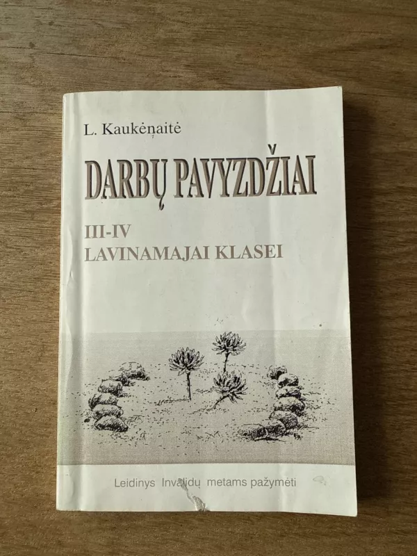 Darbų pavyzdžiai III-IV lavinamajai klasei - Liudvika Kaukėnaitė, knyga 2