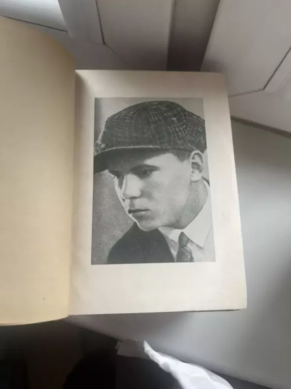 Petras Cvirka  1-8 knygos - Petras Cvirka, knyga 6