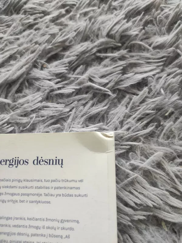 18 pinigų energijos dėsnių - Valentina White, knyga 4