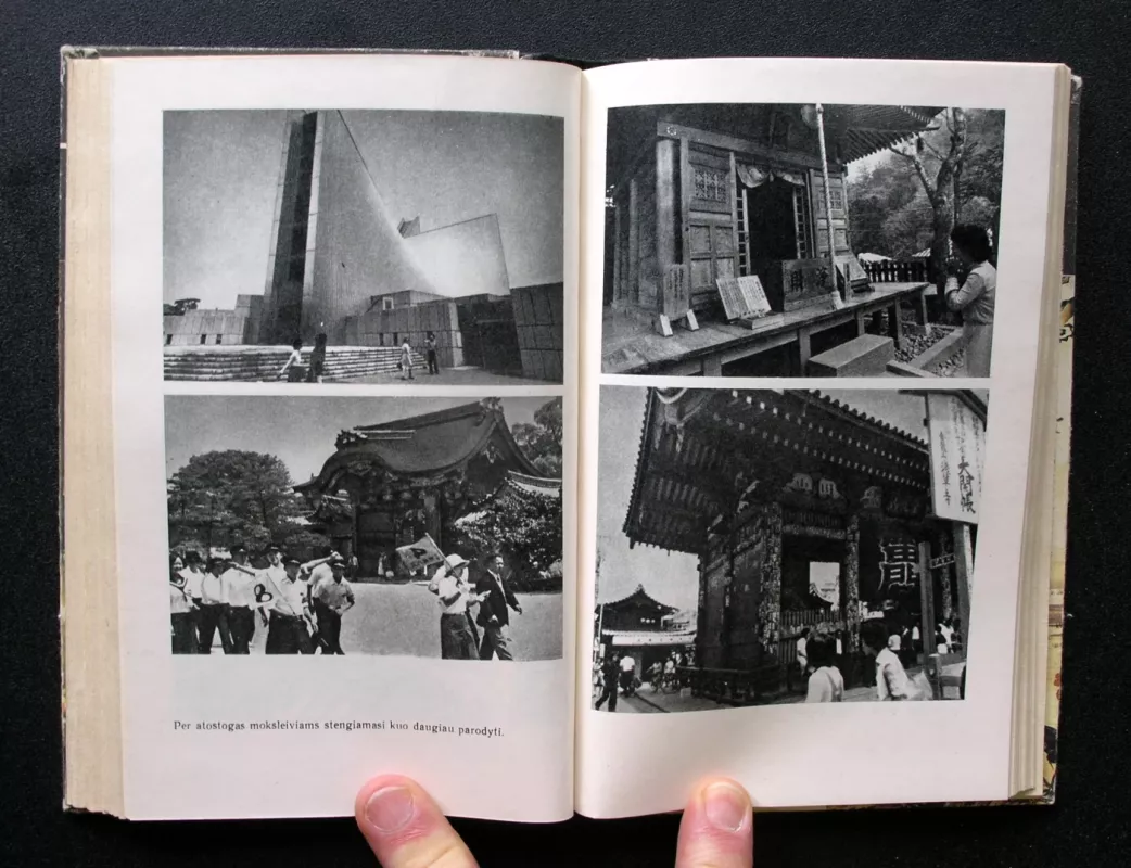 Sakuros šakelė - Vsevolodas Ovčinikovas, knyga 4