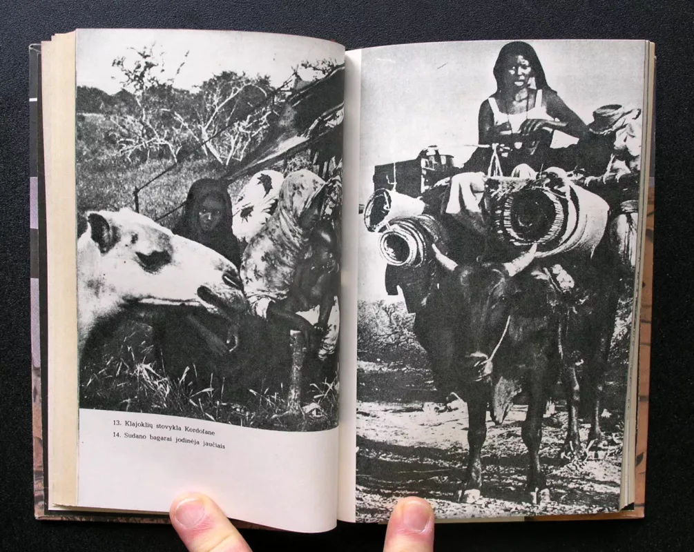 Dykumų klajokliai - Lotaras Šteinas, knyga 4