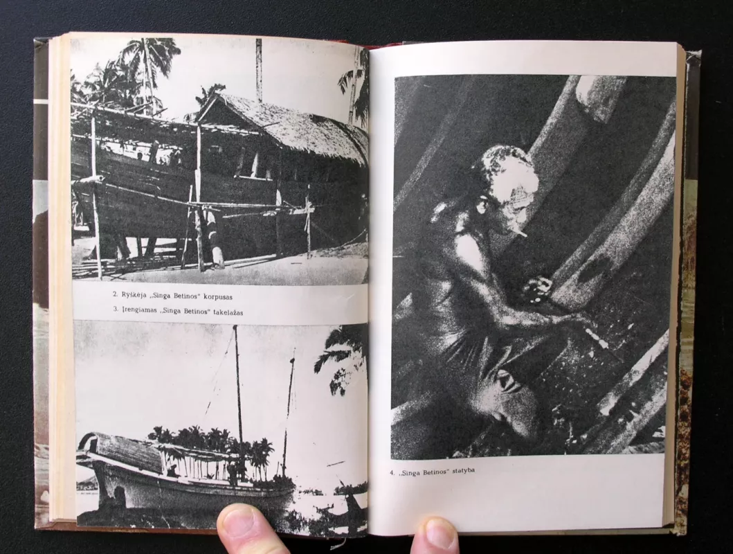 Tragiška kelionė - Anri Burdanas, knyga 4