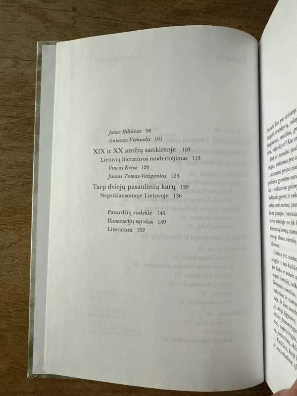 Trumpa lietuvių literatūros istorija - Vanda Zaborskaitė, knyga 5