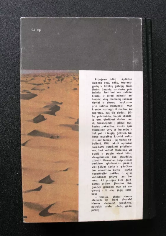 Dykumų klajokliai - Lotaras Šteinas, knyga 6