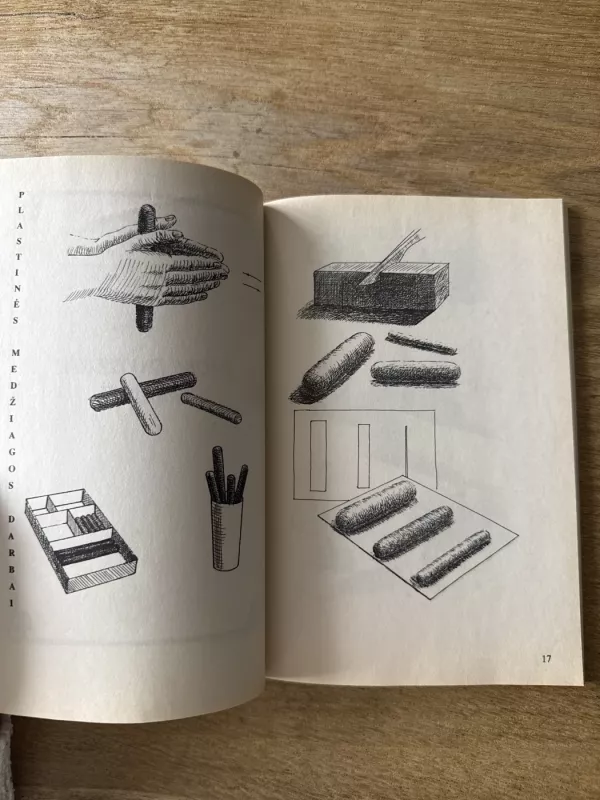 Darbų pavyzdžiai III-IV lavinamajai klasei - Liudvika Kaukėnaitė, knyga 5