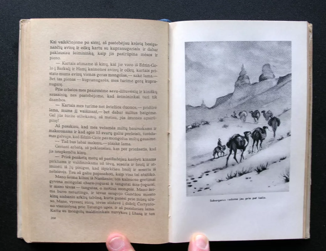 Centrinės Azijos dykynėse - Vladimiras Obručevas, knyga 4