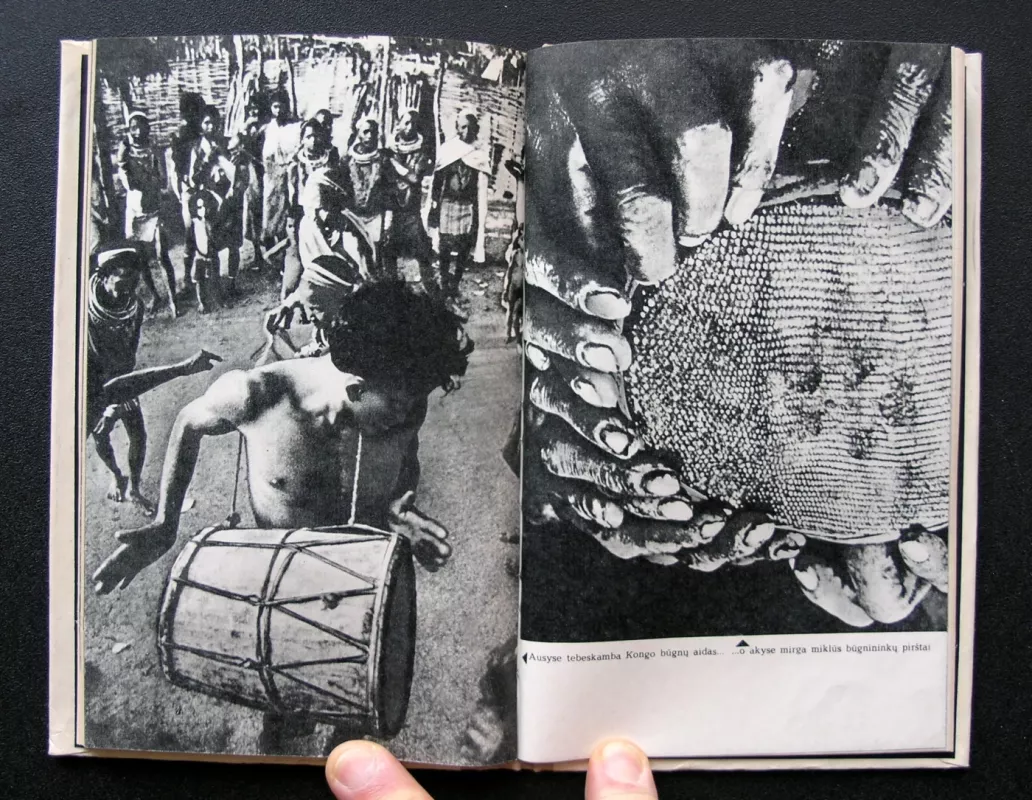 Kongas dailininko akimis - Sigfridas Siodergrenas, knyga 4