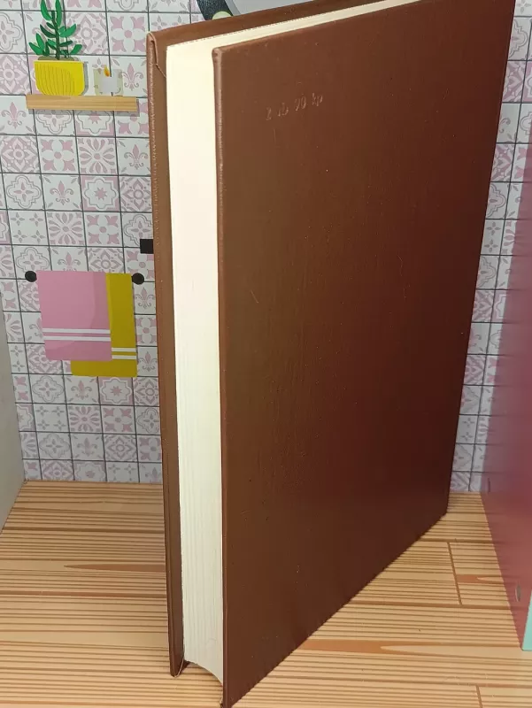 Antikiniai romanai ir pasakėčios - Autorių Kolektyvas, knyga 5