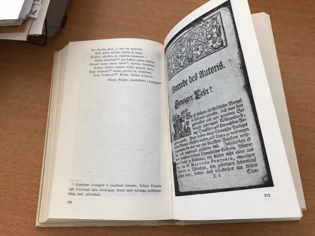 Lietuvių kalbos kilmės, būdo ir savybių tyrinėjimas - Pilypas Ruigys, knyga 3