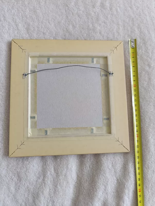 Zodiako ženklas oziaragis - , namai ir interjeras 3